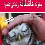 کتاب چگونه عاشقانه زندگی کنیم؟