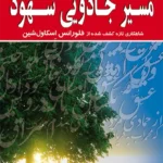 مسیر جادویی شهود